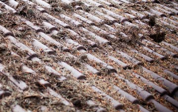 Bryntirion roof cleaning companies